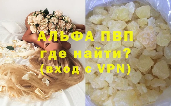 дмт Белокуриха