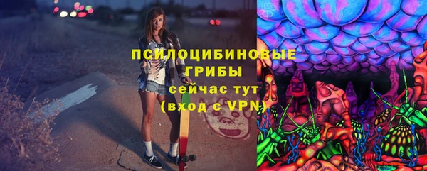 дмт Белокуриха