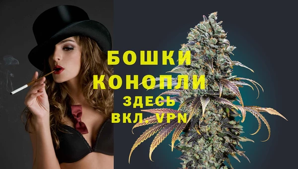 дмт Белокуриха