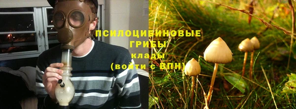 хмурый Белоозёрский
